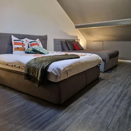 Duplex-cocon-proximite - Piscines Thermales -sauna Hombourg-Haut