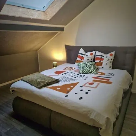 Duplex-cocon-proximité - Piscines Thermales -sauna Hombourg-Haut