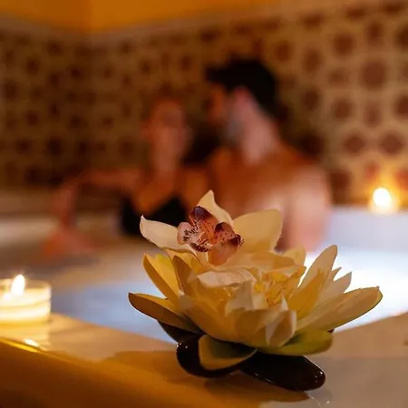 Duplex-cocon-proximite - Piscines Thermales -sauna