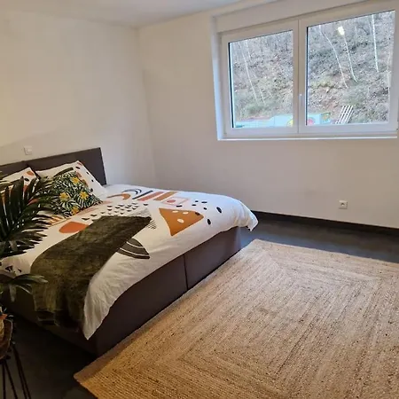 Duplex-cocon-proximite - Piscines Thermales -sauna Hombourg-Haut