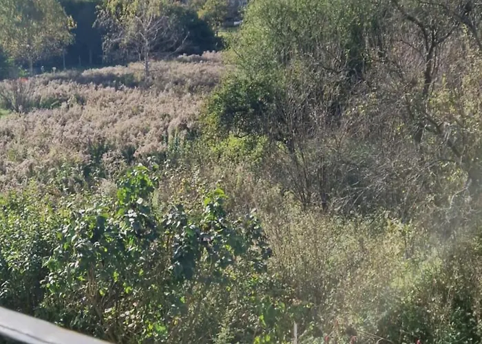 Duplex-cocon-proximite - Piscines Thermales -sauna Apartmán *