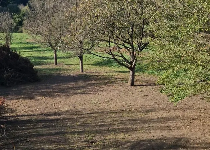 Duplex-cocon-proximité - Piscines Thermales -sauna Appartement