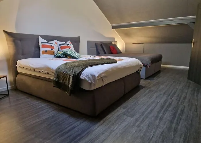 Duplex-cocon-proximite - Piscines Thermales -sauna Hombourg-Haut