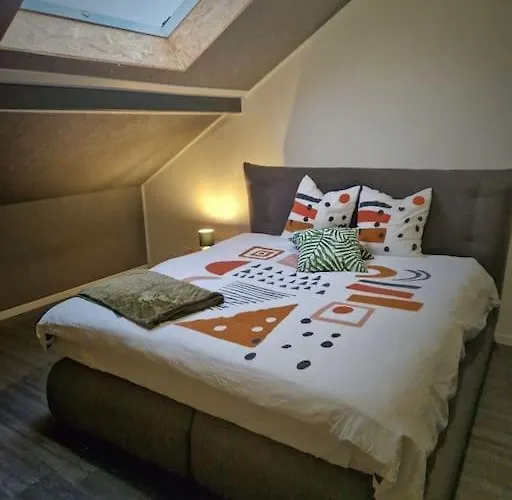 Duplex-cocon-proximite - Piscines Thermales -sauna Hombourg-Haut