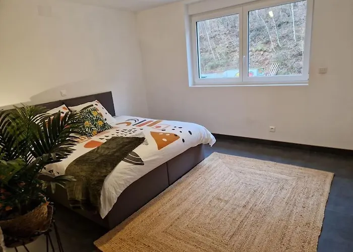 Duplex-cocon-proximite - Piscines Thermales -sauna Hombourg-Haut